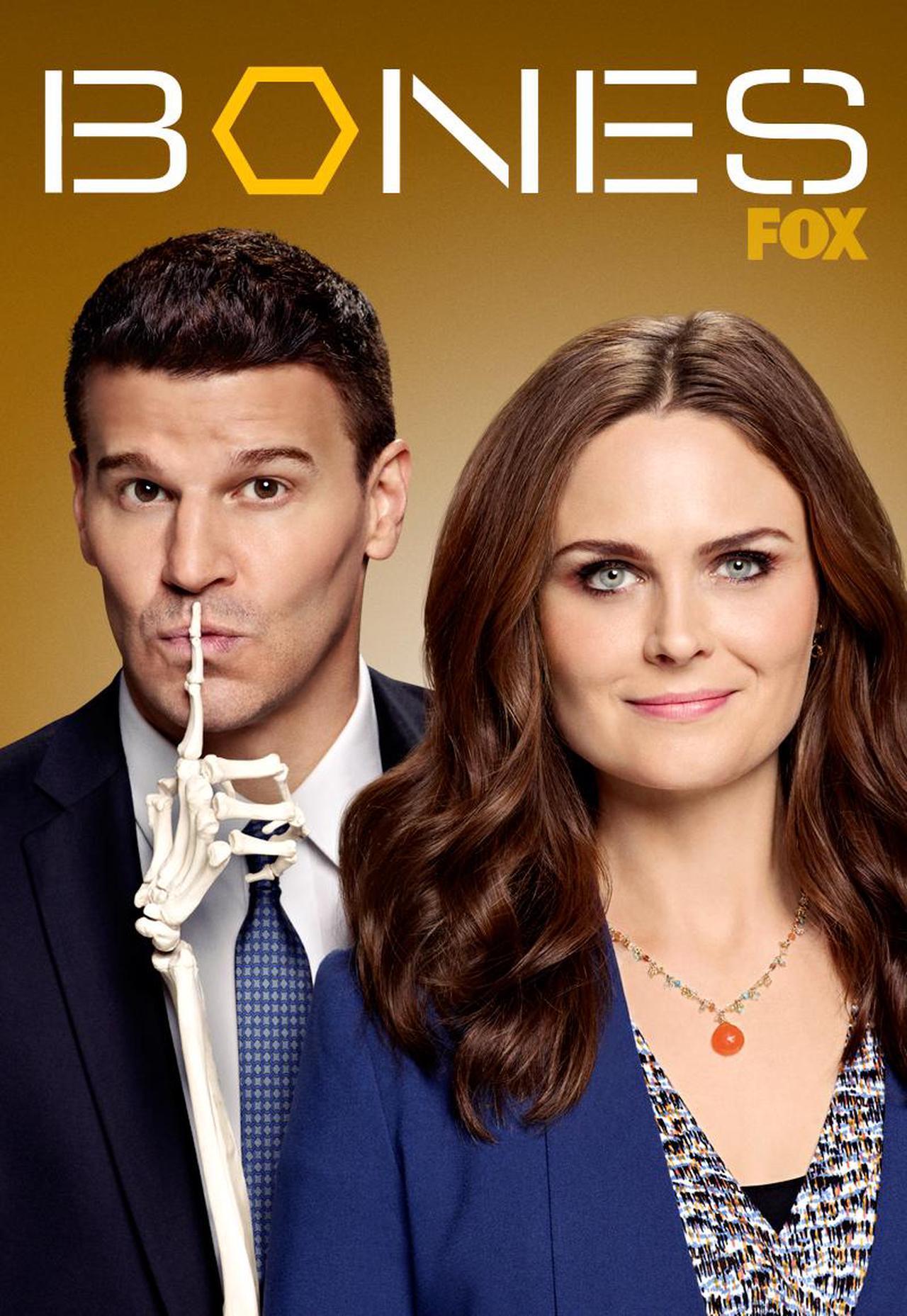 Main image of Bones: Season 9 Episode 2 - The Cheat in the Retreat [HD] [Buy]