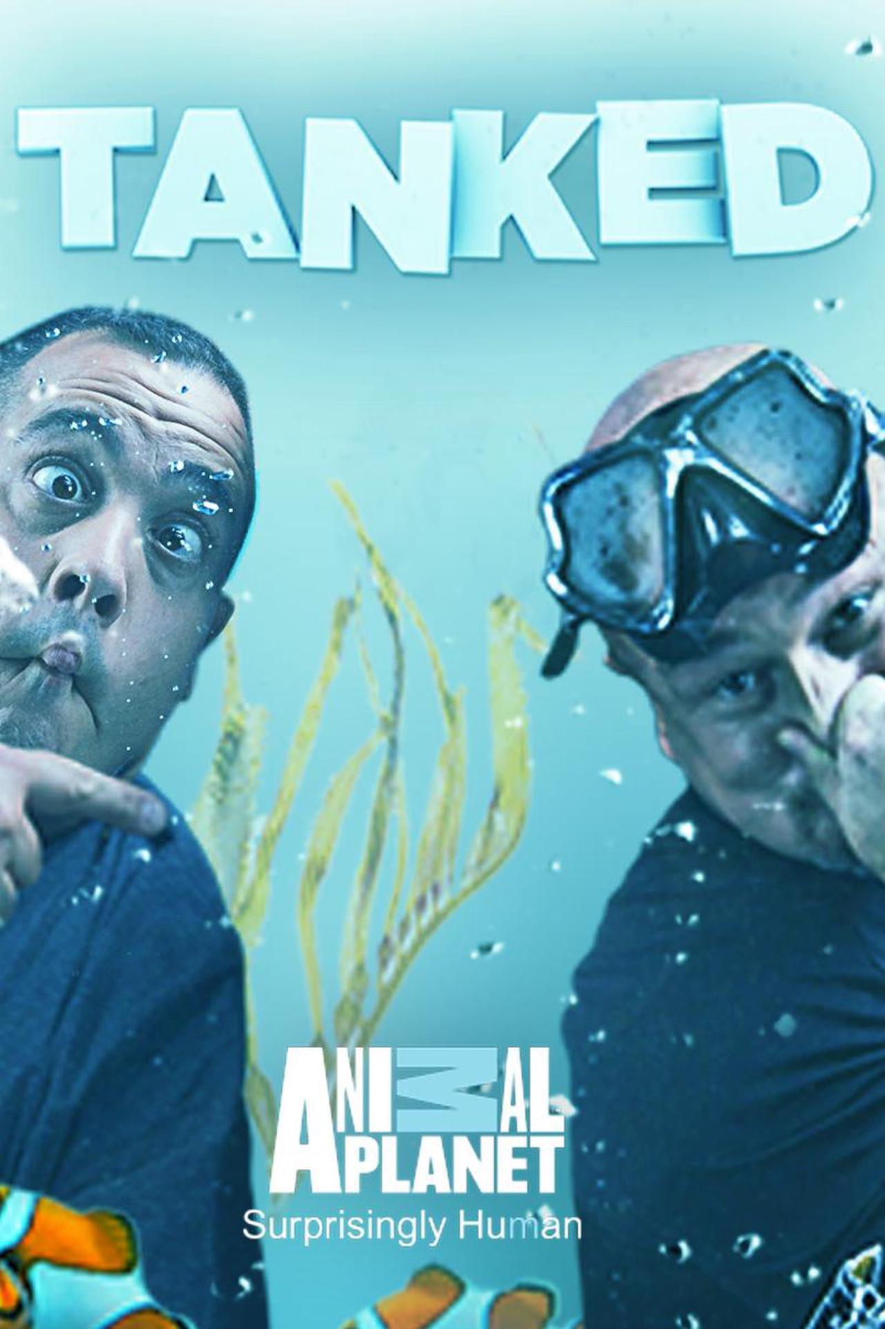 Main image of Tanked: Season 9 Episode 11 - Boyz II Men to ATM [HD] [Buy]