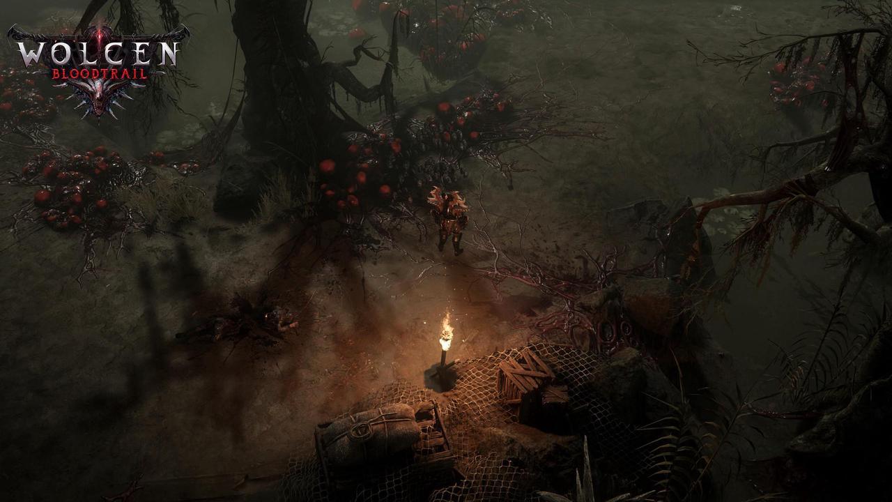 Alt view image 8 of 20 - Wolcen: Lords of Mayhem - PC [Online Game Code]