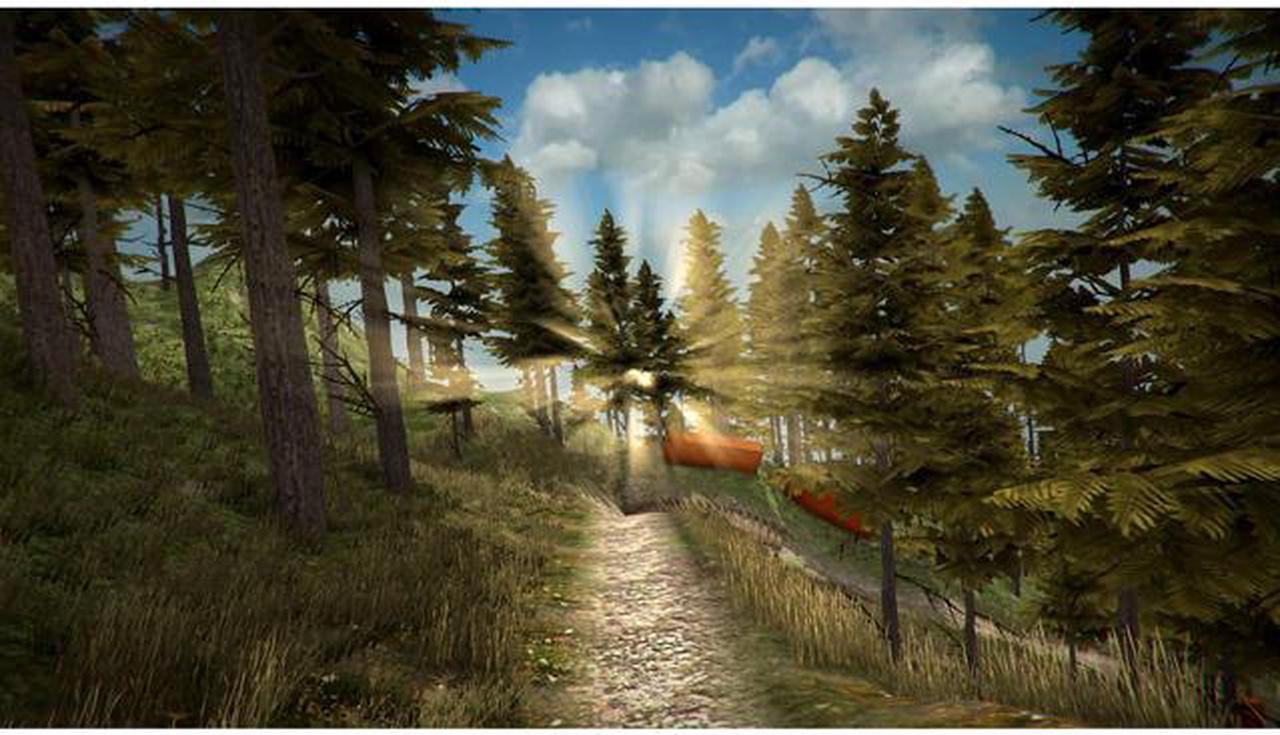 Alt view image 2 of 7 - MTB Downhill Simulator [Online Game Code]
