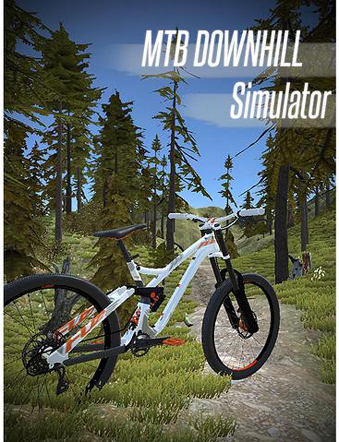 Main image of MTB Downhill Simulator [Online Game Code]