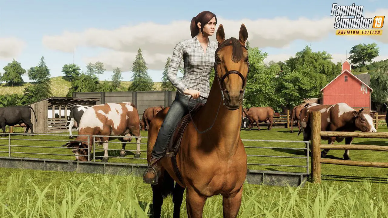Alt view image 8 of 11 - Farming Simulator 19 - Premium Edition  [Online Game Code]