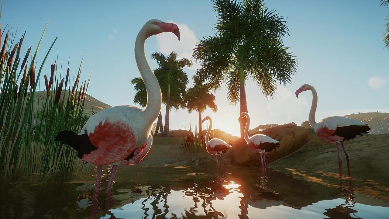 Alt view image 4 of 13 - Planet Zoo Deluxe Edition - PC [Steam Online Game Code]