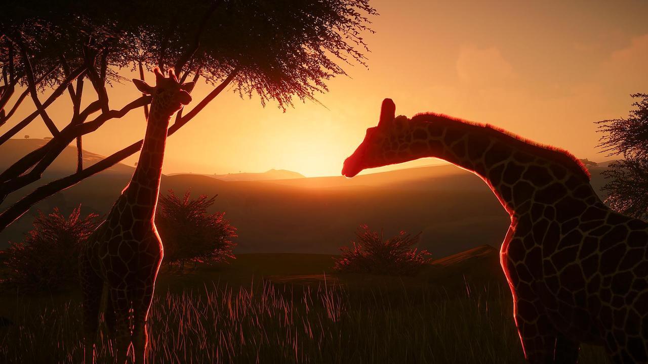Alt view image 5 of 13 - Planet Zoo Deluxe Edition - PC [Steam Online Game Code]