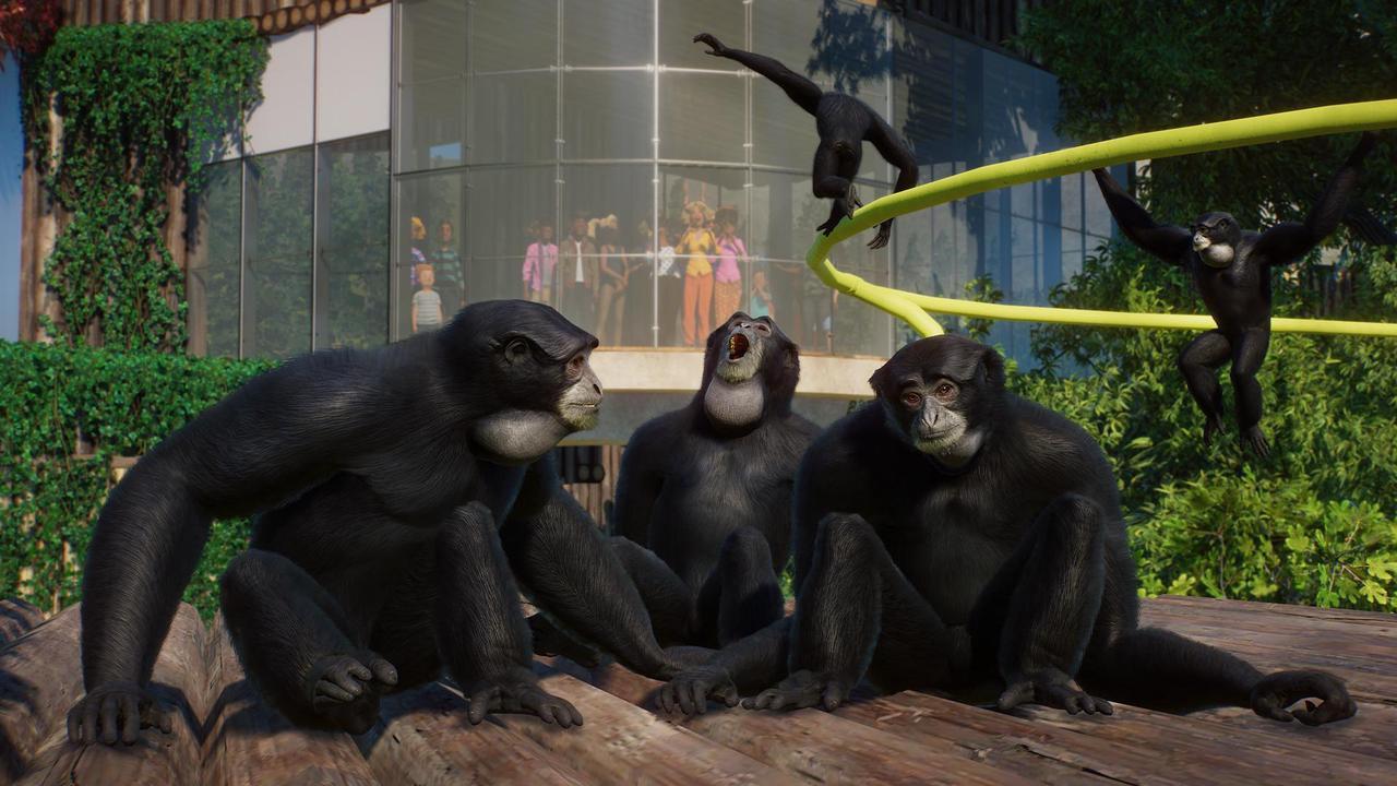 Alt view image 6 of 6 - Planet Zoo: Conservation Pack - PC [Steam Online Game Code]