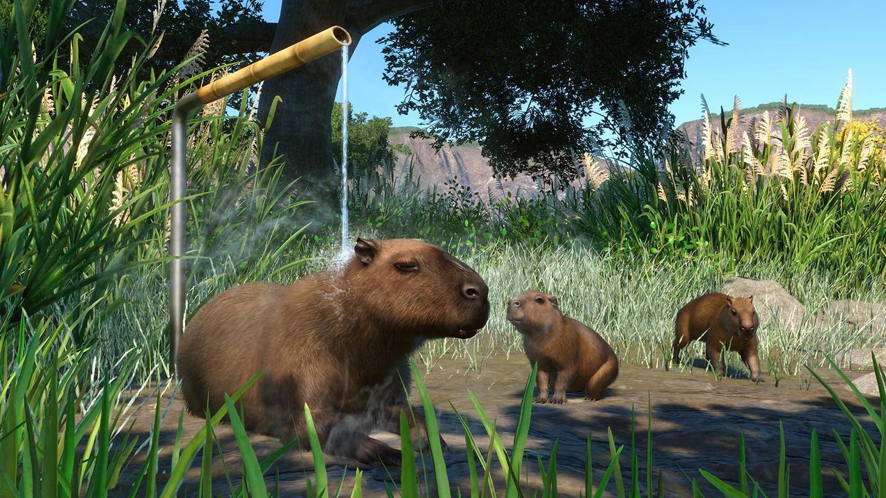 Alt view image 2 of 10 - Planet Zoo: Wetlands Animal Pack - PC [Steam Online Game Code]