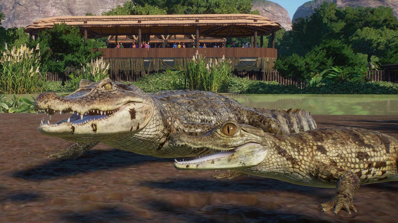 Alt view image 5 of 10 - Planet Zoo: Wetlands Animal Pack - PC [Steam Online Game Code]