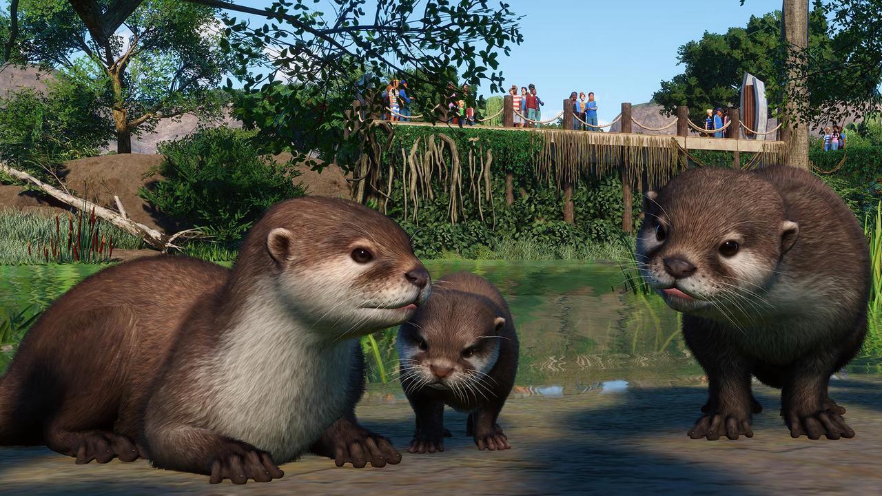 Alt view image 6 of 10 - Planet Zoo: Wetlands Animal Pack - PC [Steam Online Game Code]
