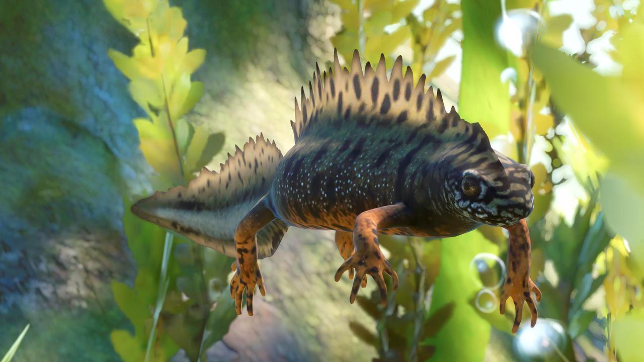 Alt view image 8 of 10 - Planet Zoo: Wetlands Animal Pack - PC [Steam Online Game Code]