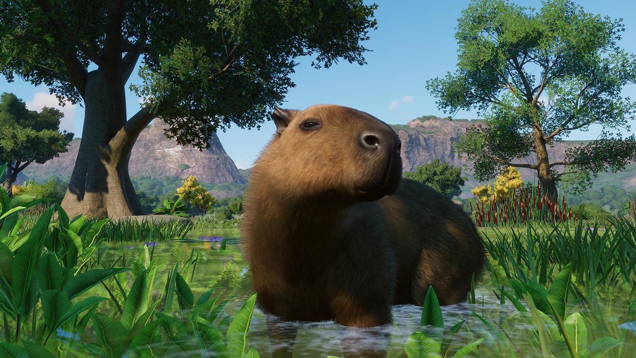 Alt view image 10 of 10 - Planet Zoo: Wetlands Animal Pack - PC [Steam Online Game Code]