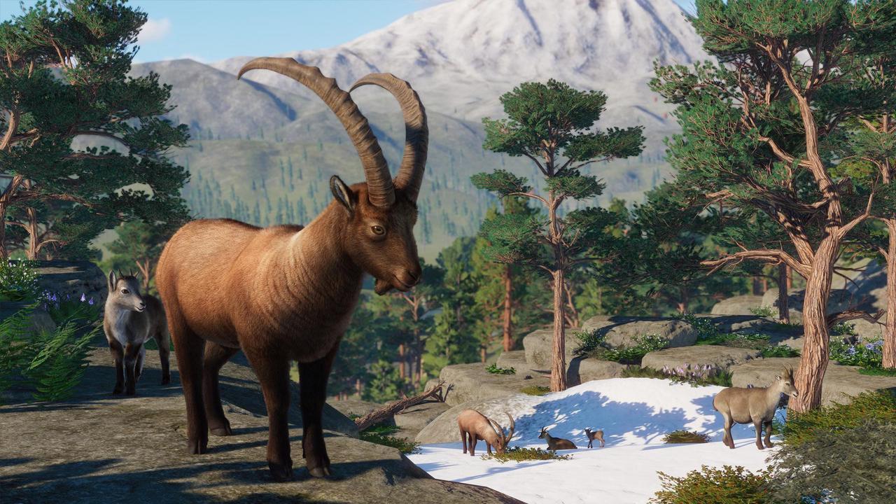 Alt view image 4 of 6 - Planet Zoo: Europe Pack - PC [Steam Online Game Code]