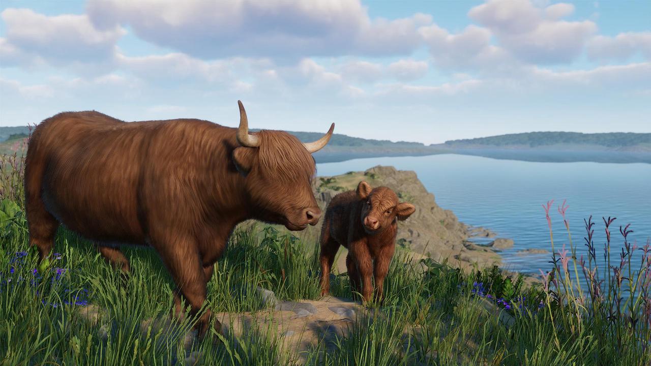 Alt view image 8 of 11 - Planet Zoo: Barnyard Animal Pack - PC [Steam Online Game Code]