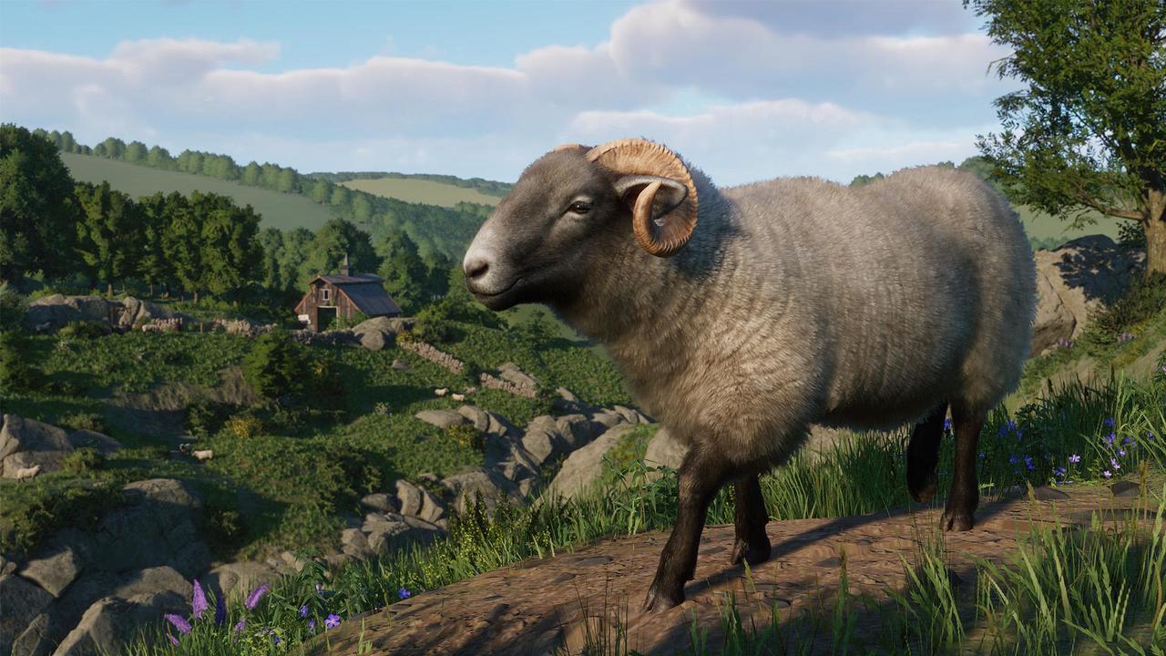 Alt view image 10 of 11 - Planet Zoo: Barnyard Animal Pack - PC [Steam Online Game Code]