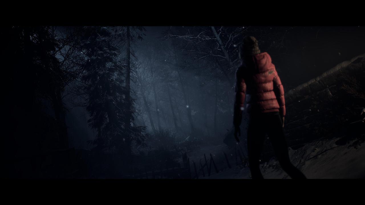 Alt view image 7 of 10 - Until Dawn™ - PC [Steam Online Game Code]