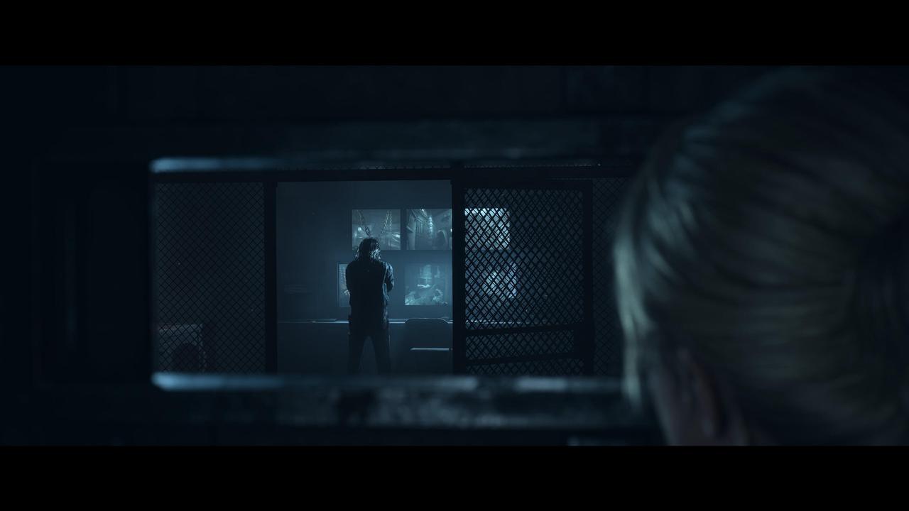 Alt view image 8 of 10 - Until Dawn™ - PC [Steam Online Game Code]