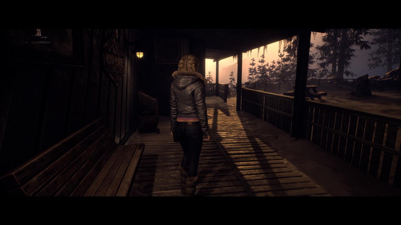 Alt view image 9 of 10 - Until Dawn™ - PC [Steam Online Game Code]