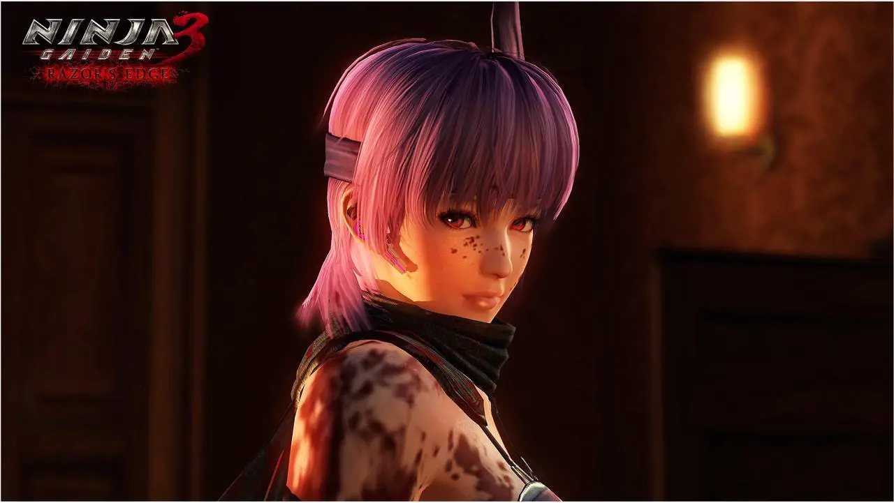 Alt view image 2 of 7 - NINJA GAIDEN: Master Collection Deluxe Edition [Online Game Code]