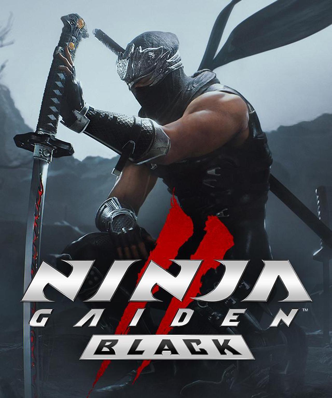 NINJA GAIDEN 2 Black PC Game