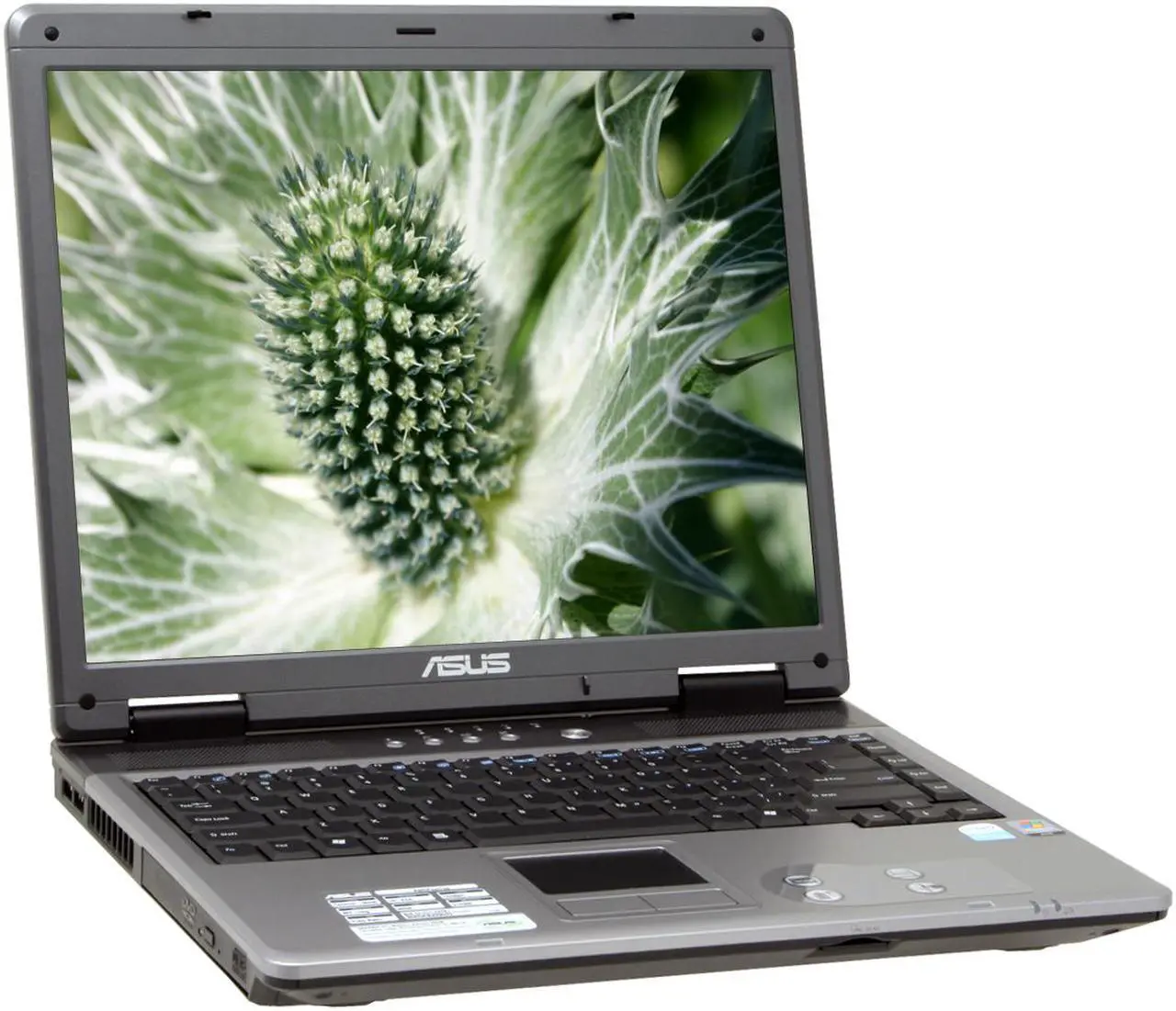 Main image of ASUS Laptop A9 Series Intel Celeron M 440 512MB Memory 80GB HDD ATI Radeon Xpress 200M IGP 15.0" Windows Vista Home Basic A9RP-5A052A