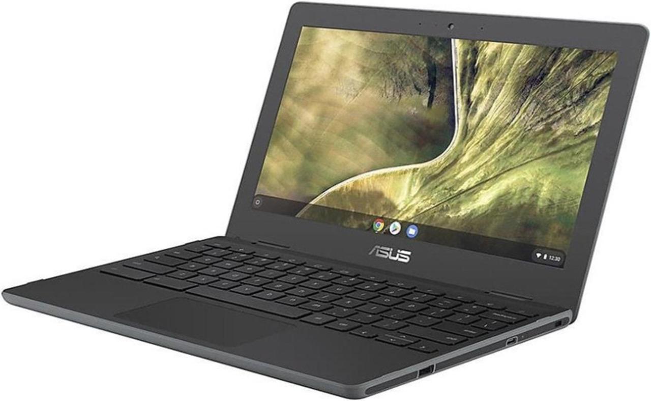 ASUS C204MA-SS01-CB Chromebook Intel Celeron N4000 (1.10 GHz) 4 GB LPDDR4 Memory 32 GB eMMC 11.6" Chrome OS