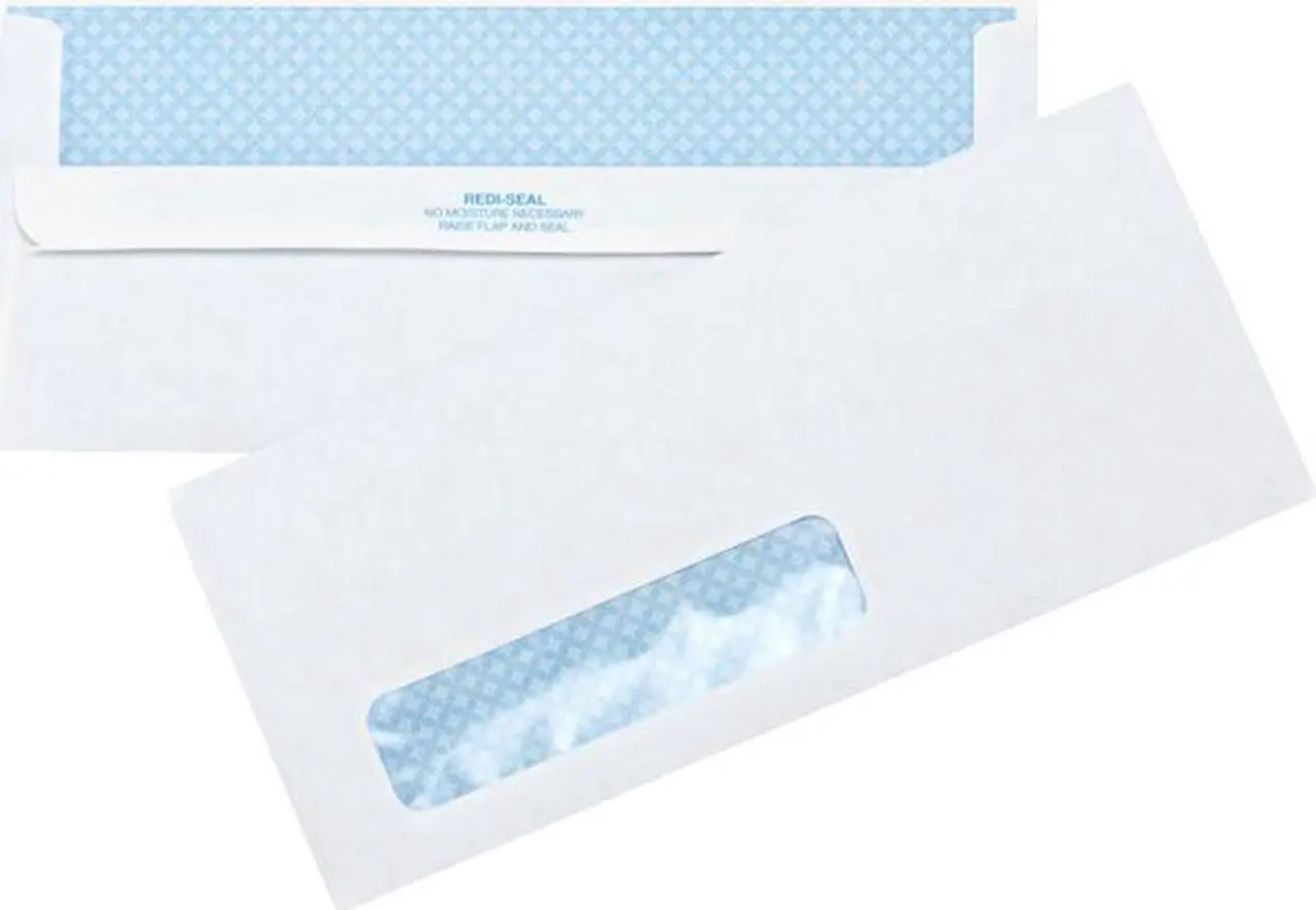 Main image of Business Source 42207 Single Window Envelopes, 4-1/8" x 9-1/2", 500/Box, Wove