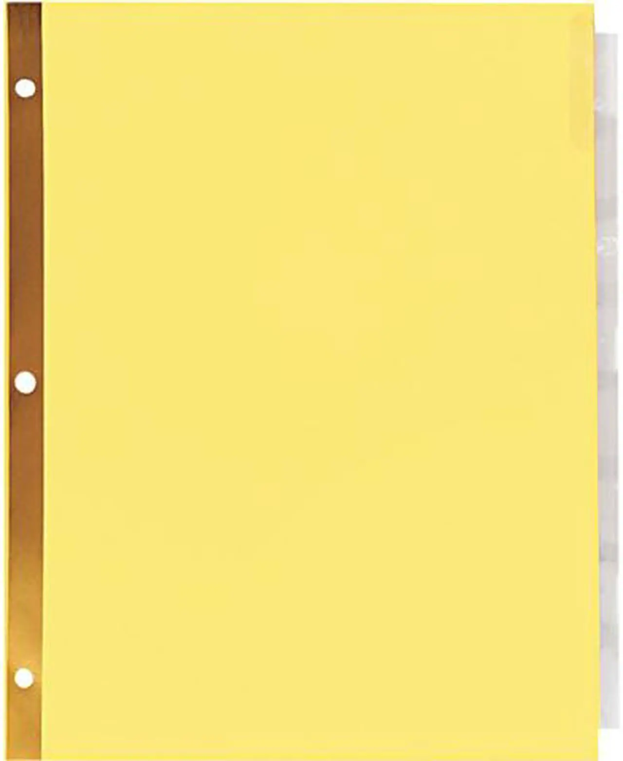 Main image of Universal UNV20891 Deluxe Extended Insertable Tab Indexes