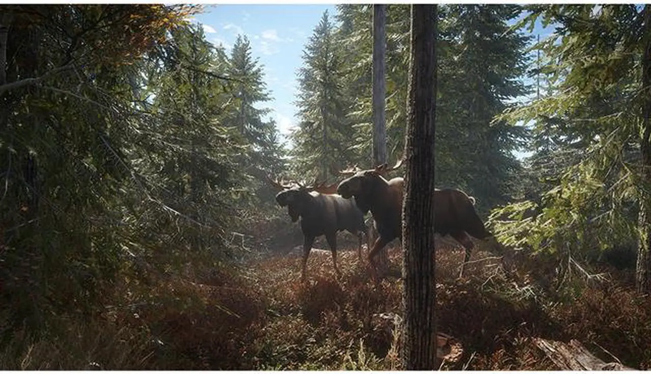 Alt view image 3 of 6 - The Hunter: Call Of The Wild - Xbox One