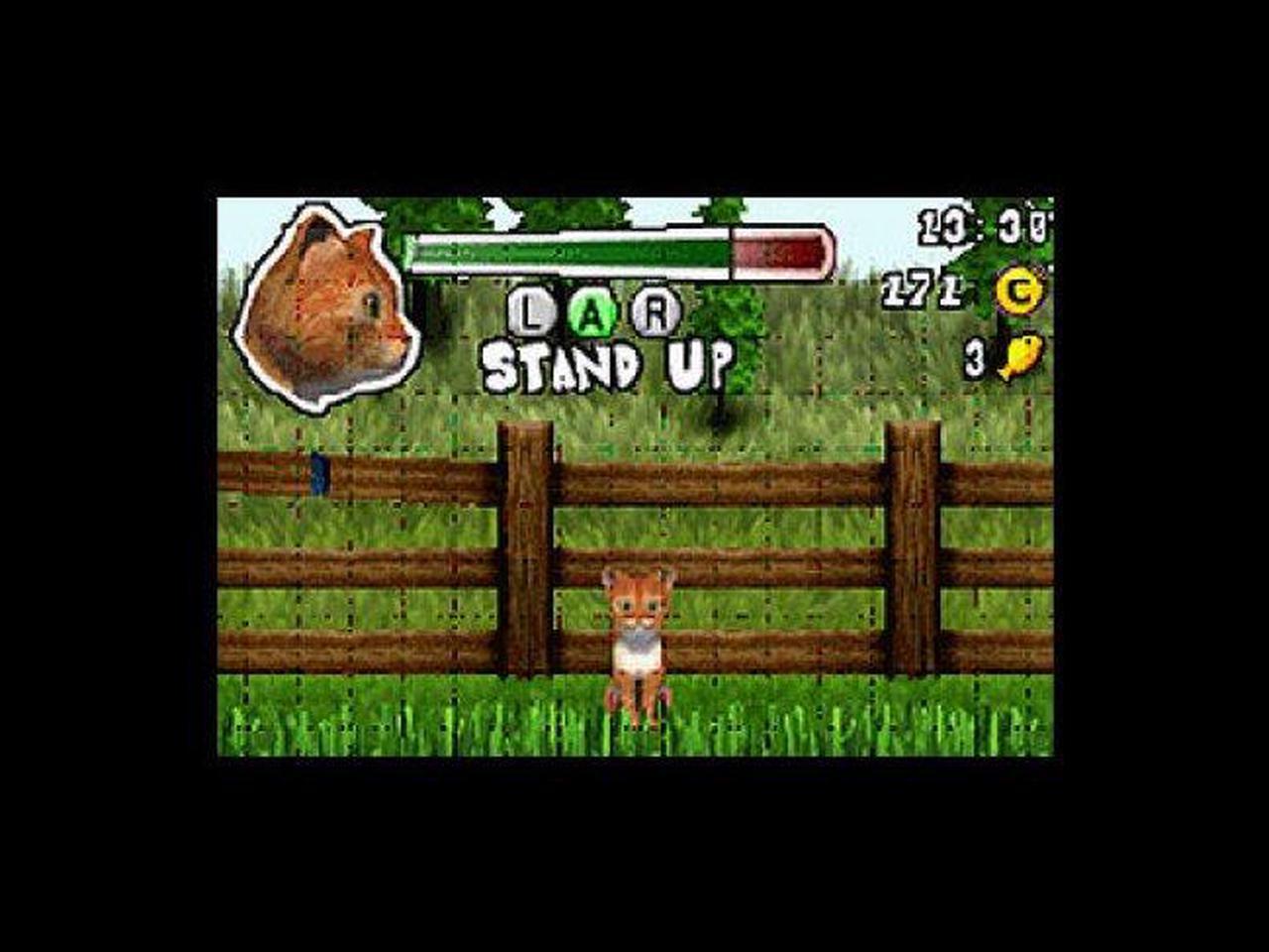 Alt view image 4 of 7 - Paws & Claws: Dogs & Cats Best Friends Nintendo DS Game