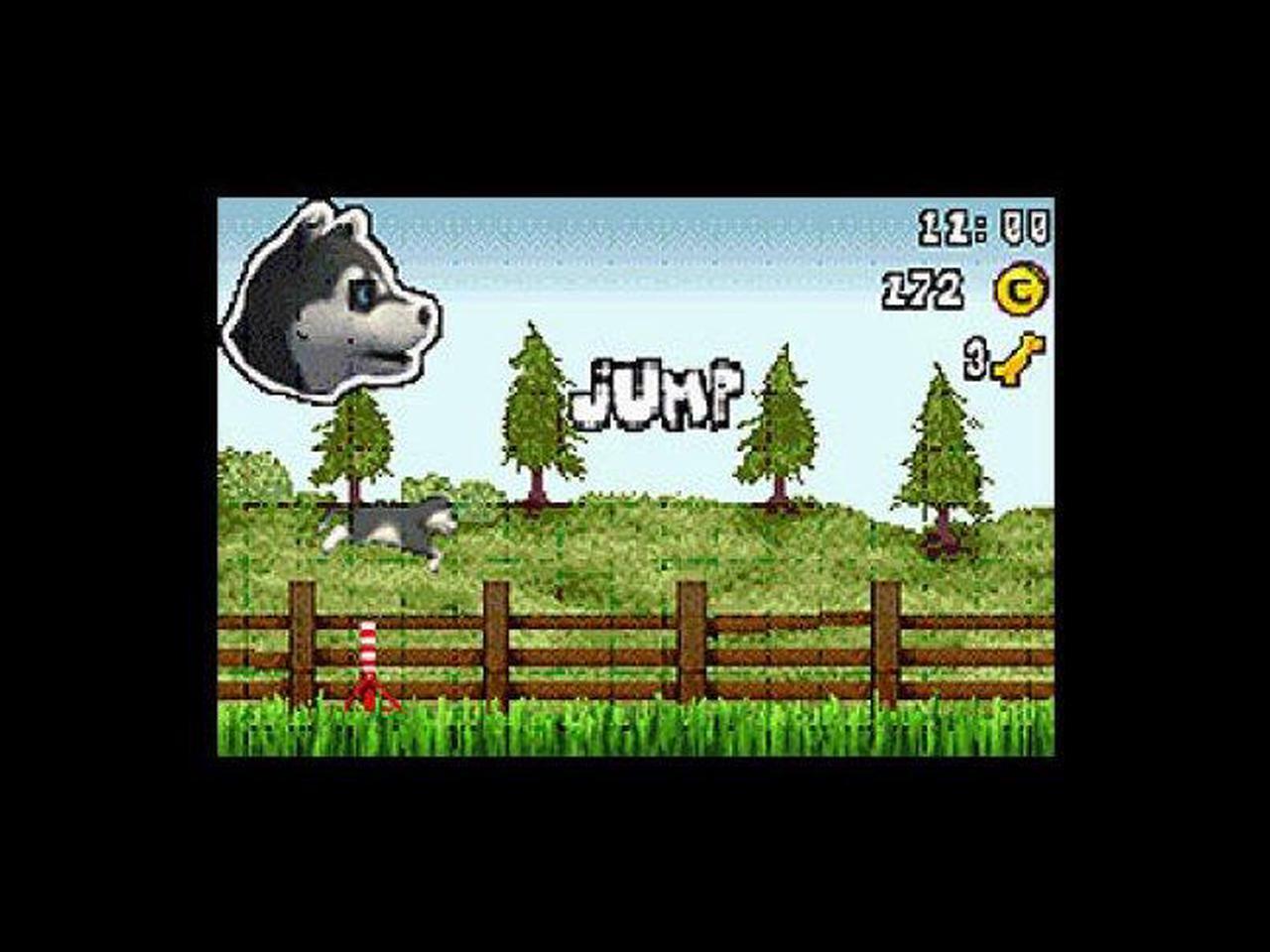 Alt view image 5 of 7 - Paws & Claws: Dogs & Cats Best Friends Nintendo DS Game