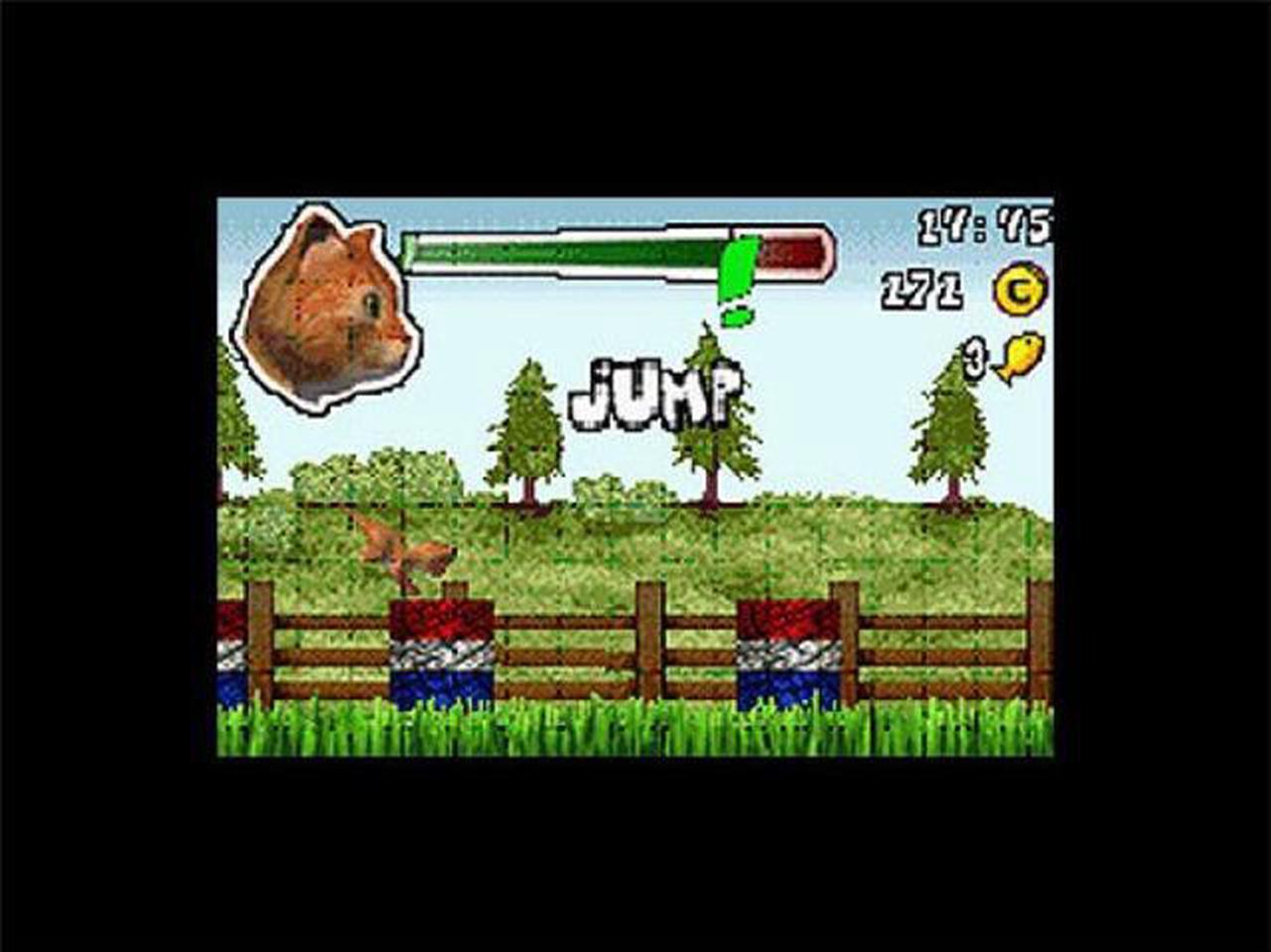 Alt view image 6 of 7 - Paws & Claws: Dogs & Cats Best Friends Nintendo DS Game