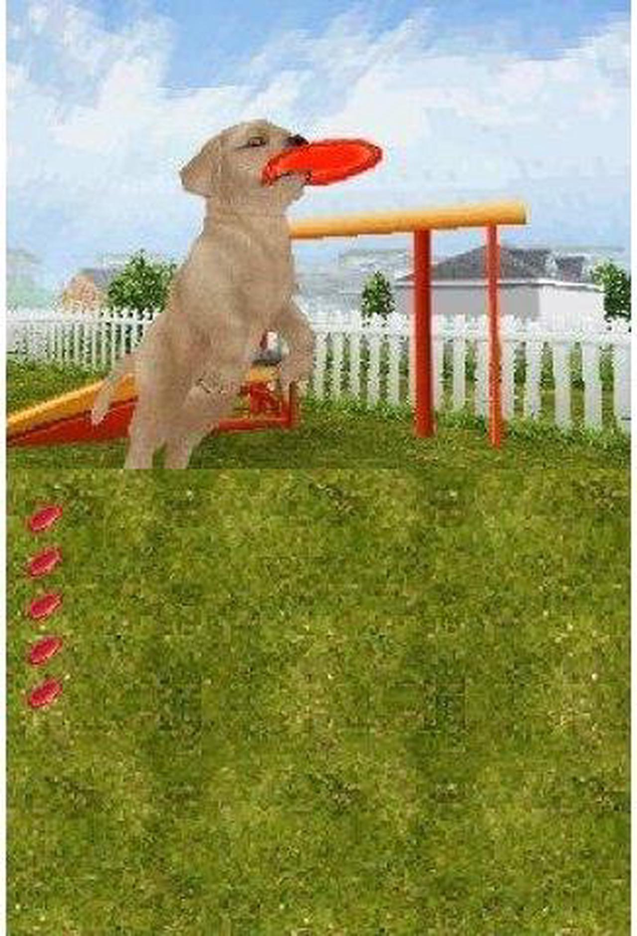 Main image of Petz Dogz: Talent Show Nintendo DS Game