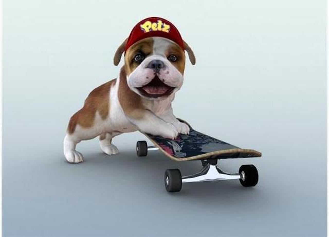 Alt view image 3 of 3 - Petz Dogz: Talent Show Nintendo DS Game