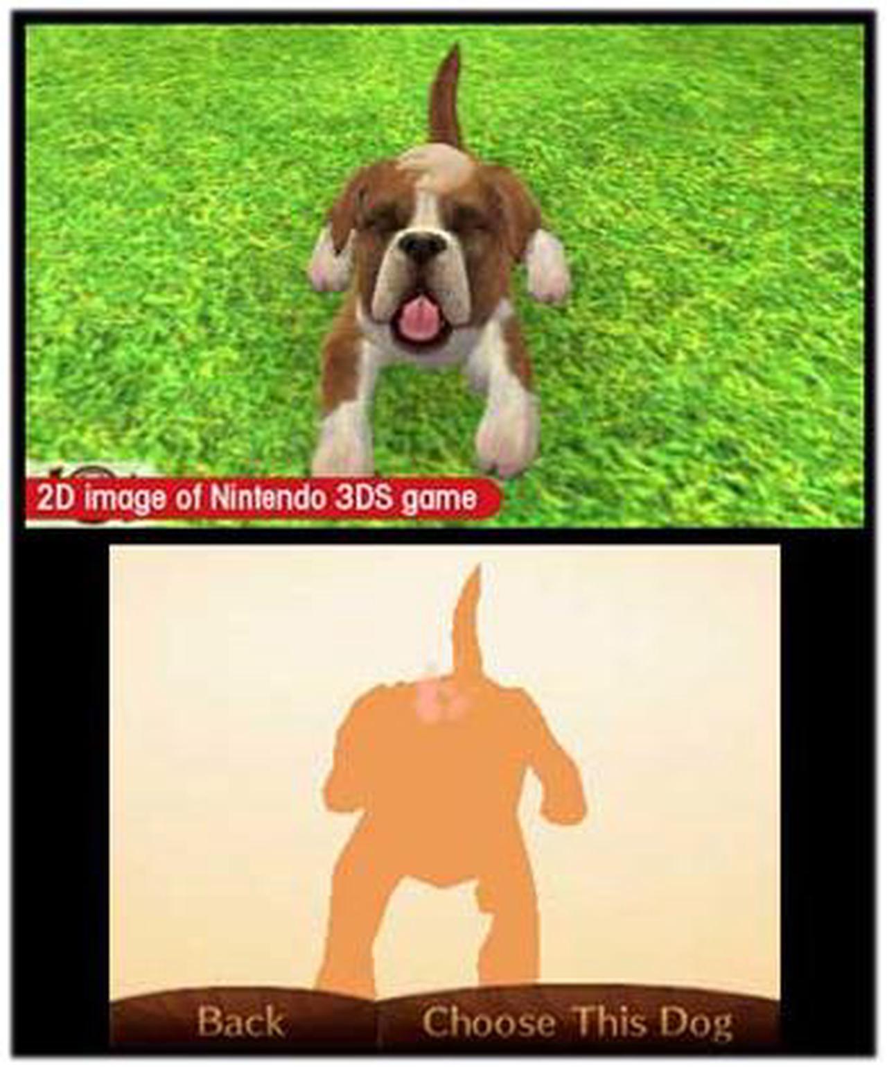 Alt view image 2 of 7 - Nintendogs + Cats: Golden Retriever and New Friends 3DS Nintendo 3DS Game