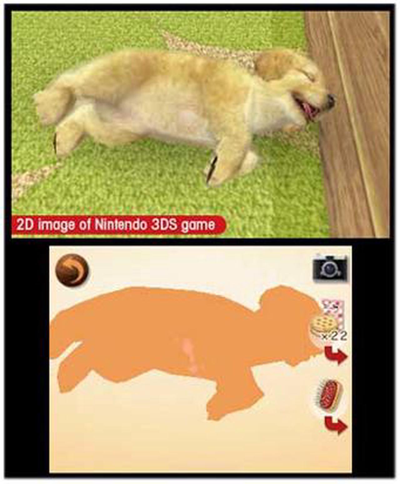 Alt view image 4 of 7 - Nintendogs + Cats: Golden Retriever and New Friends 3DS Nintendo 3DS Game