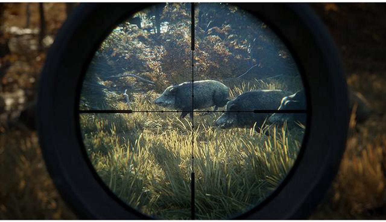 Alt view image 2 of 6 - The Hunter: Call Of The Wild - PlayStation 4