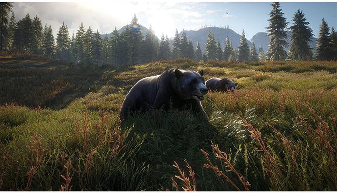 Alt view image 3 of 6 - The Hunter: Call Of The Wild - PlayStation 4
