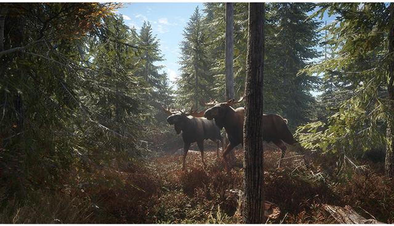 Alt view image 4 of 6 - The Hunter: Call Of The Wild - PlayStation 4