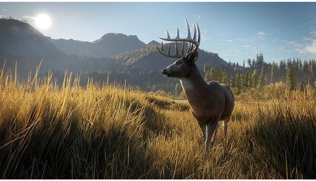 Alt view image 6 of 6 - The Hunter: Call Of The Wild - PlayStation 4