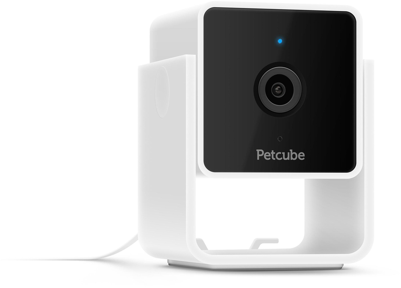 Open Box: Petcube Cam, Interactive WiFi Pet and Home Security Camera | CC10US - Newegg.com - Open Box condition - Image 8