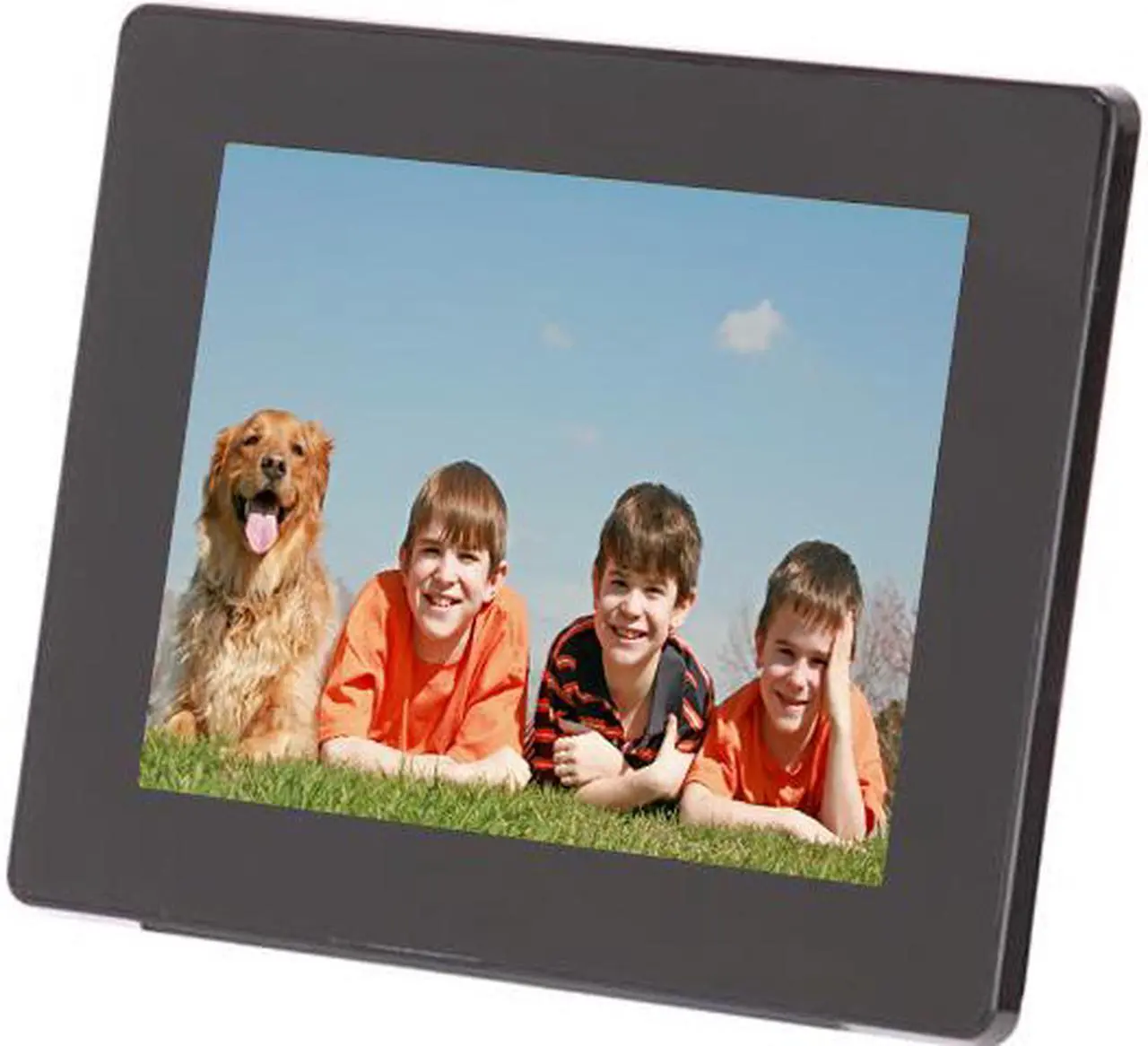 Main image of Aluratek ADMPF108F 8" 800 x 600 Digital Photo Frame with 512MB Built-in Memory
