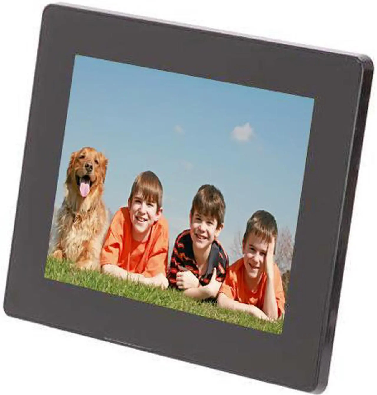 Alt view image 2 of 6 - Aluratek ADMPF108F 8" 800 x 600 Digital Photo Frame with 512MB Built-in Memory