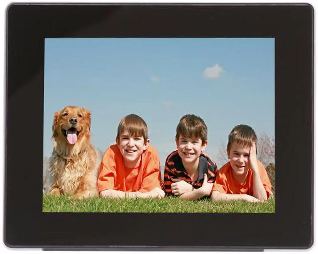 Alt view image 3 of 6 - Aluratek ADMPF108F 8" 800 x 600 Digital Photo Frame with 512MB Built-in Memory
