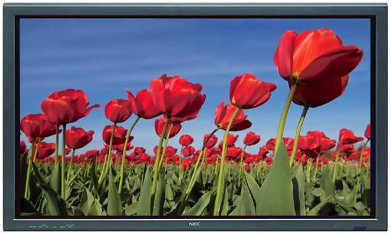 Main image of NEC Display Solutions 50" Plasma Display PX-50XM6A