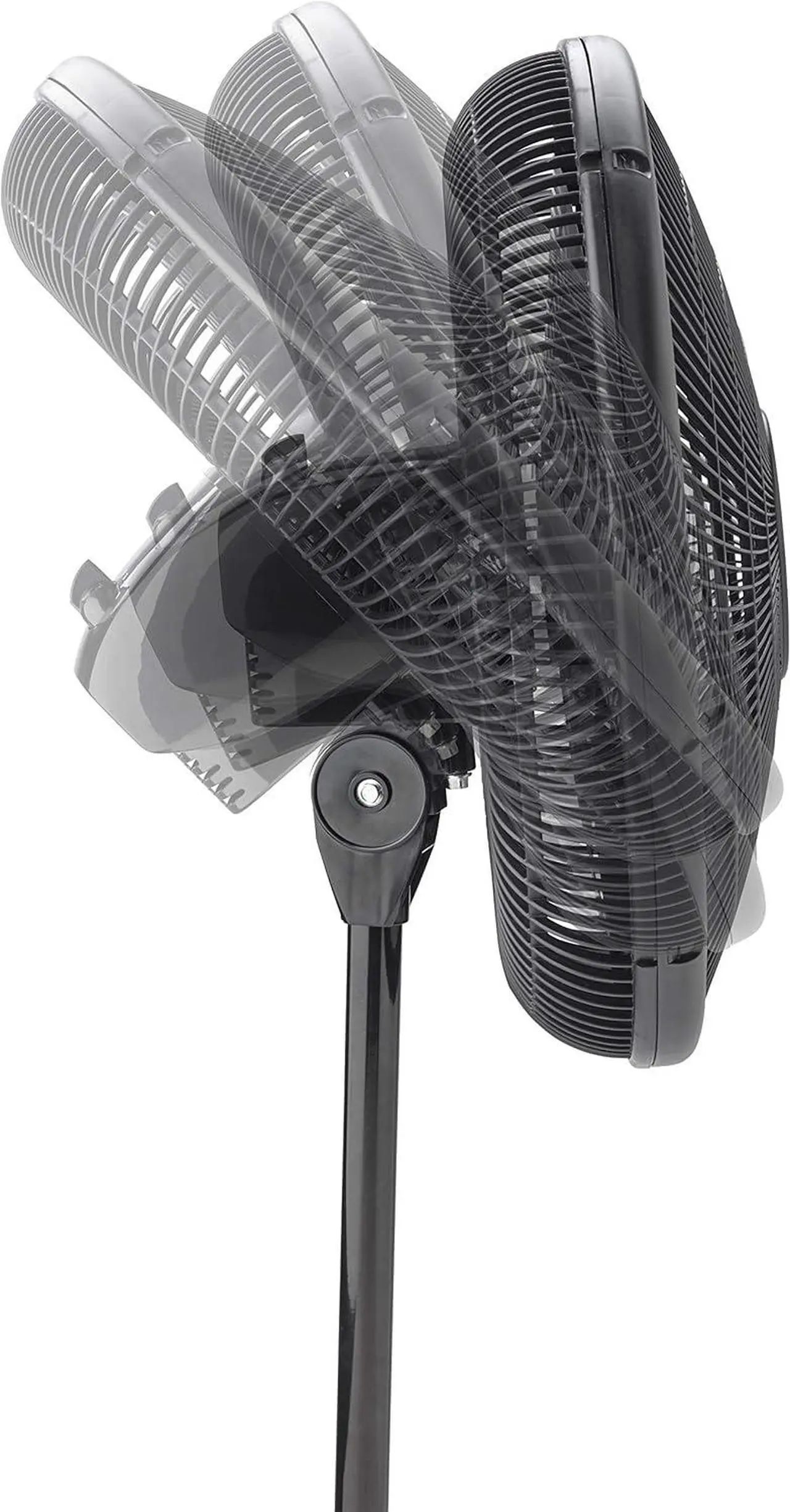 Alt view image 5 of 6 - Lasko 2521 16 Inch 3-Speed Quiet Adjustable Tilting Wide-Area Oscillating Standing Pedestal Fan for Bedroom, Kitchen, Home, and Office, Black
