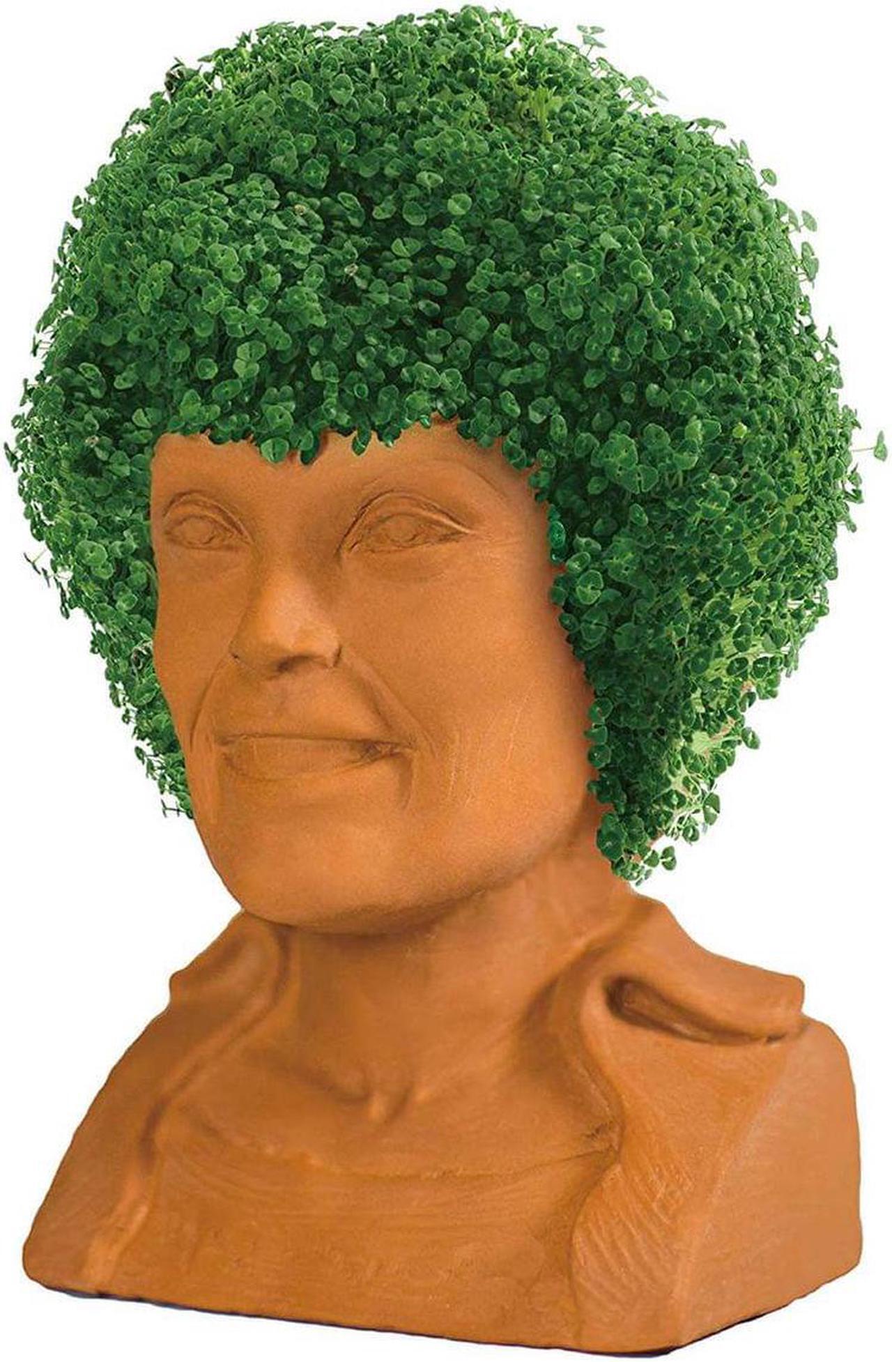 Main image of Golden Girls Chia Pet Blanche Decorative Pottery Planter