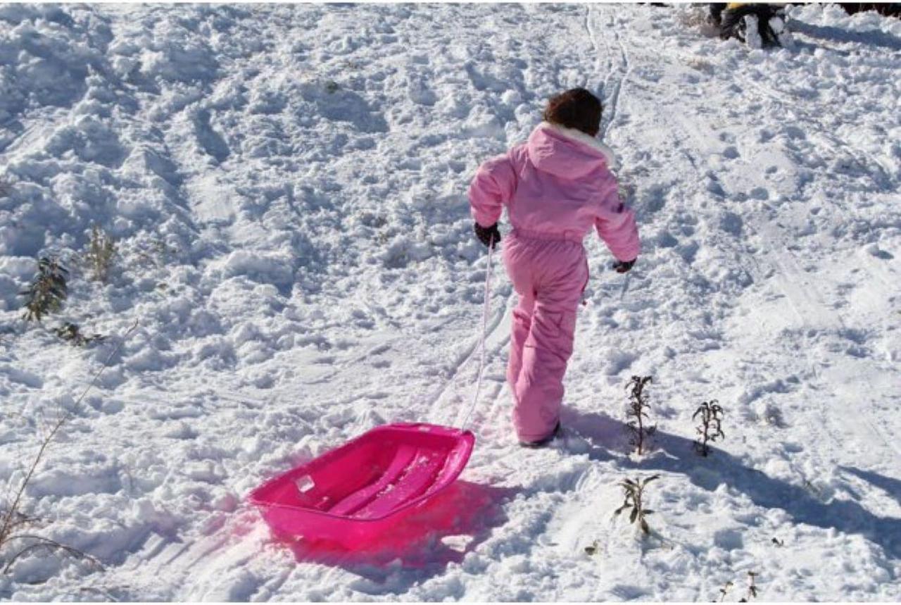 Alt view image 5 of 7 - Slippery Racer Downhill Sprinter Winter Toboggan Snow Sled, Red & Green (2 Pack)