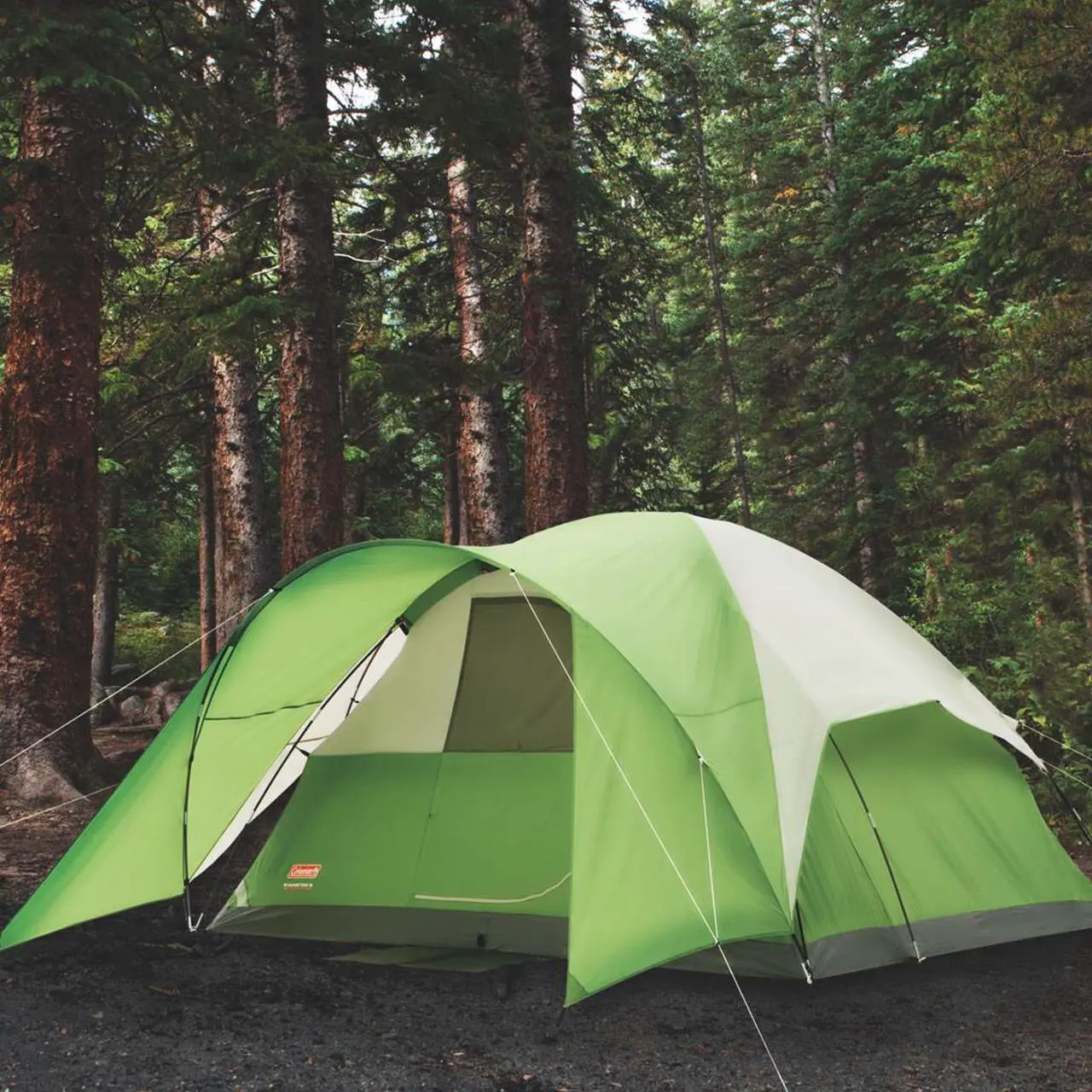 Alt view image 5 of 7 - Coleman 2000001589 Camping Tent 11x10 for 6 Evanston