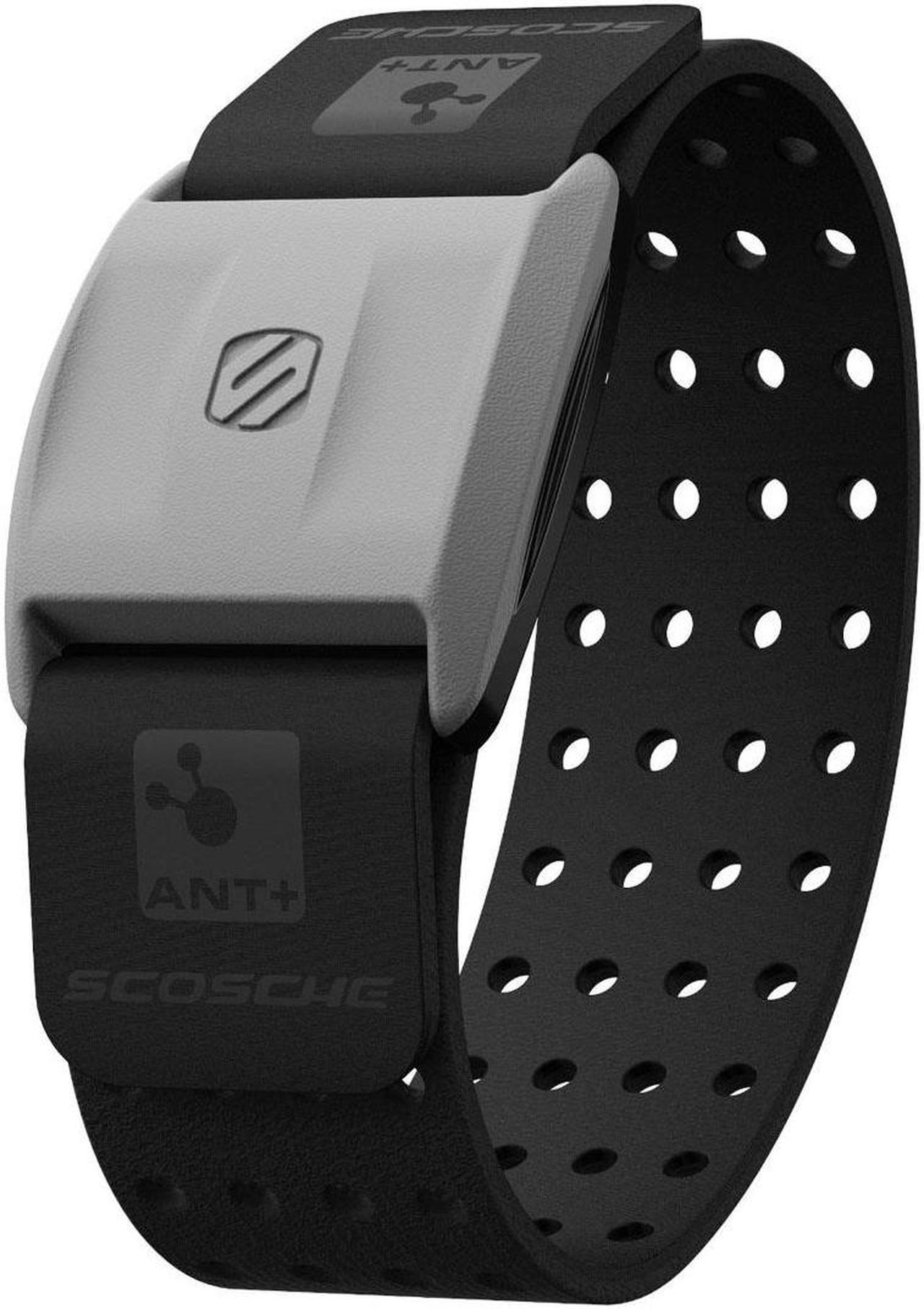 Alt view image 2 of 12 - Scosche - Rhythm+ Heart Rate Monitor in Black