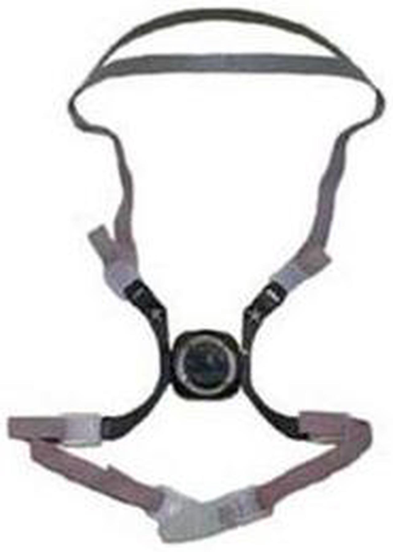 Head Harness