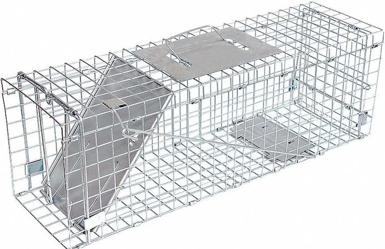 Main image of JT EATON 465N Live Animal Trap, 24in L x 7in W x 8in H